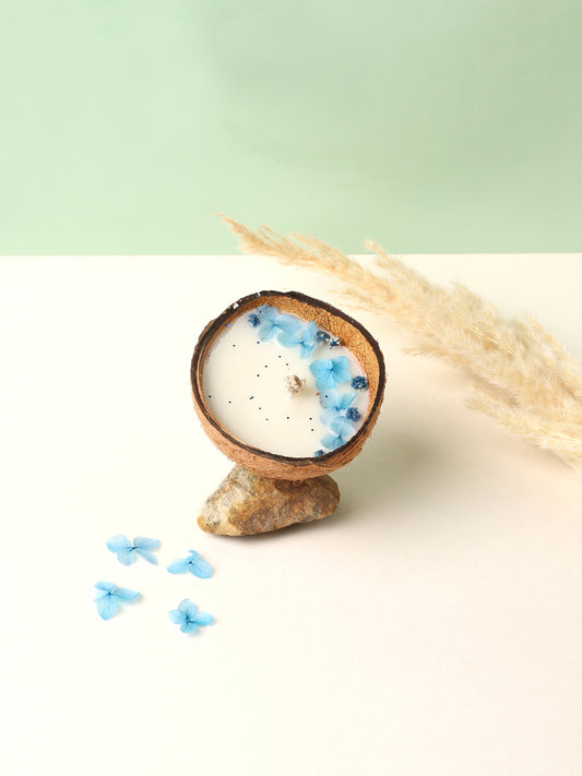 Coconut Fresh Water Candle