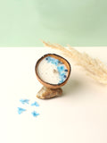 Coconut Fresh Water Candle
