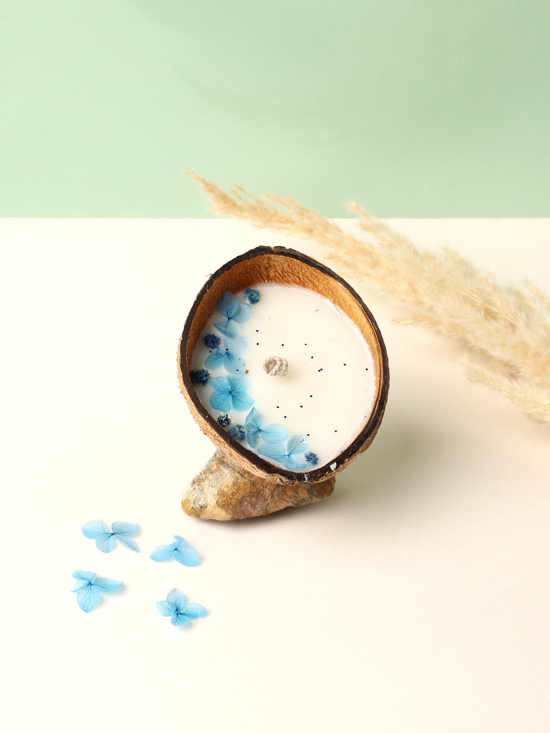 Coconut Fresh Water Candle
